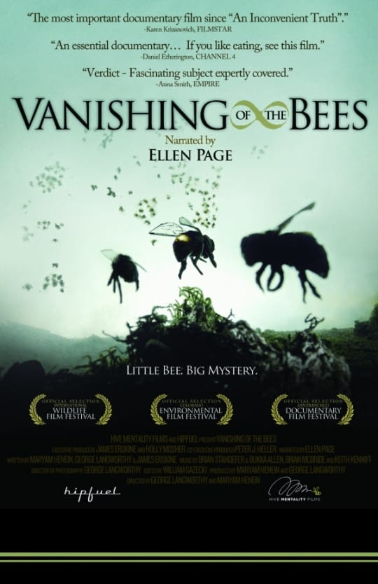 â€œVanishing of the Beesâ€ Reveals an Ongoing Struggle for Pollinator Populations