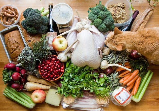 The Wasteful Business of Thanksgiving: Taking a Page from The Hunger Games
